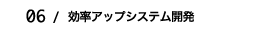効率アップシステム開発